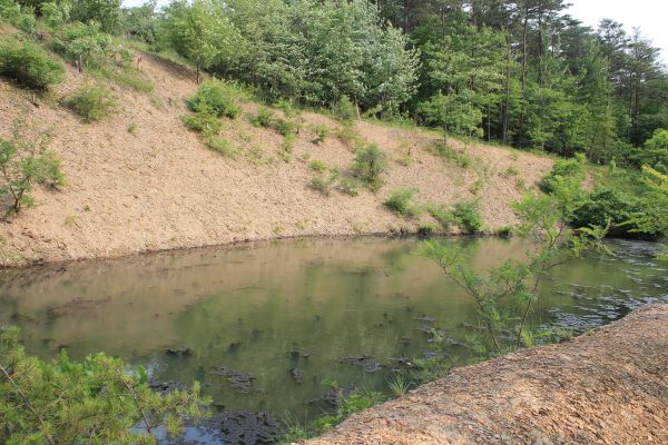 Cost of Pond Erosion Repair in Nampa