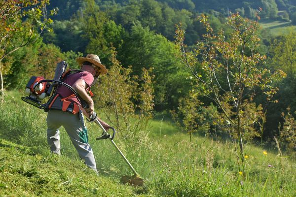 Cost of Slope Trimming in Nampa